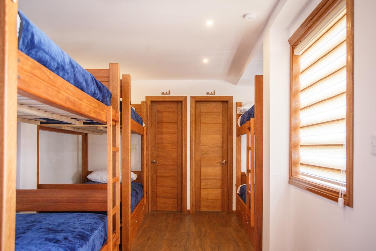Bed in 8-Bed Dormitory Room